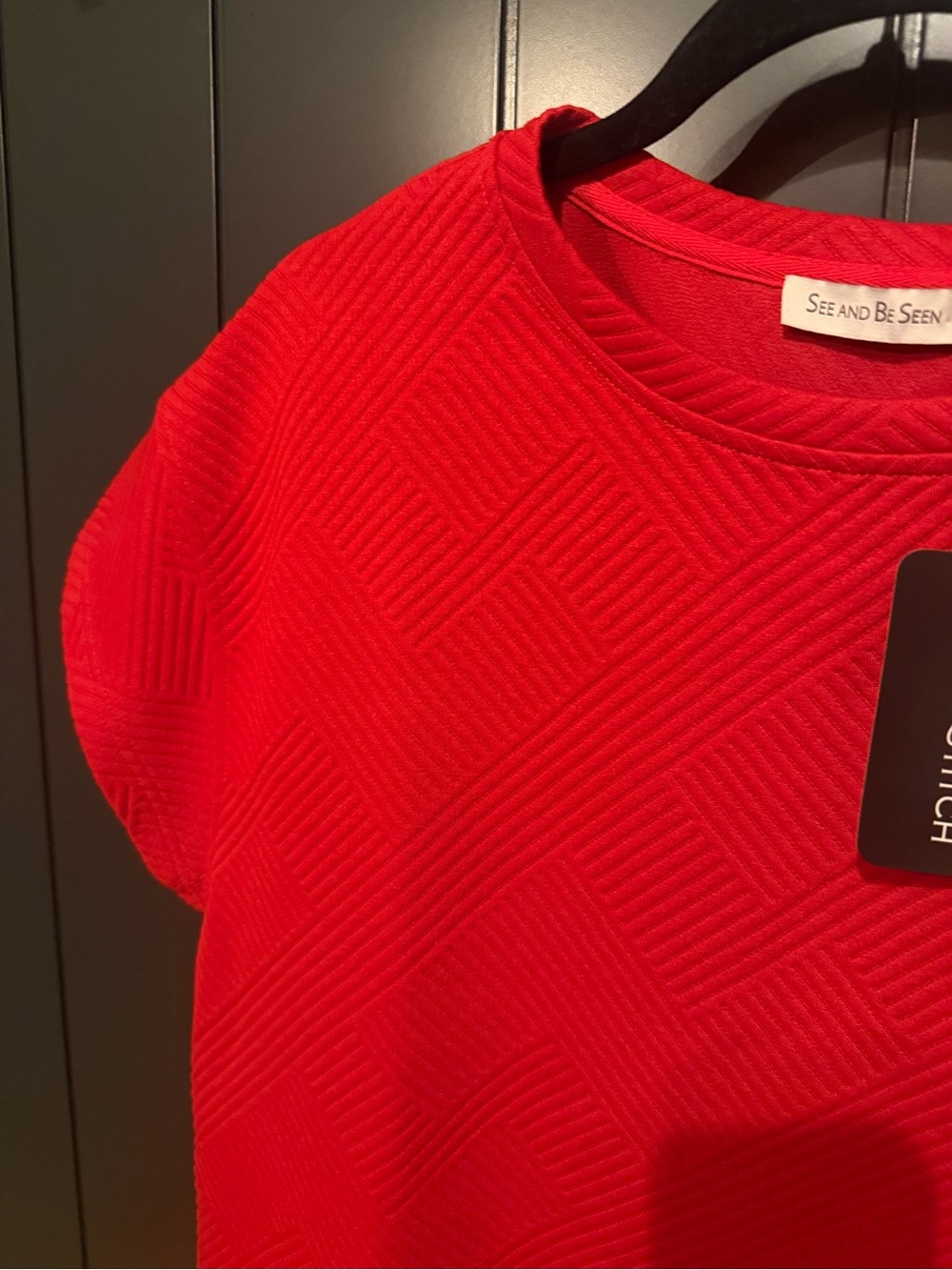 See and Be Seen Boutique Red Textured Cap Sleeve Top - Picture 2 of 5